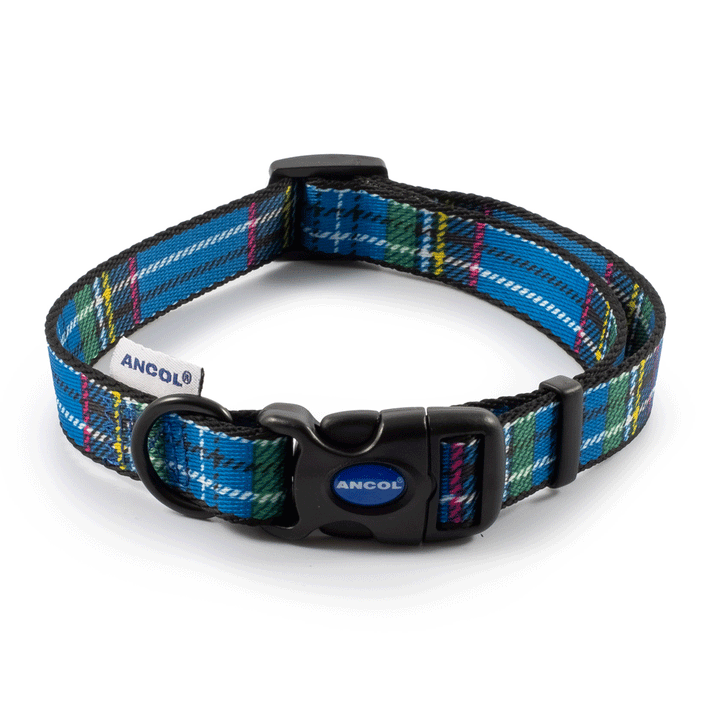 The Ancol Tartan Adjustable Dog Collar in Blue#Blue