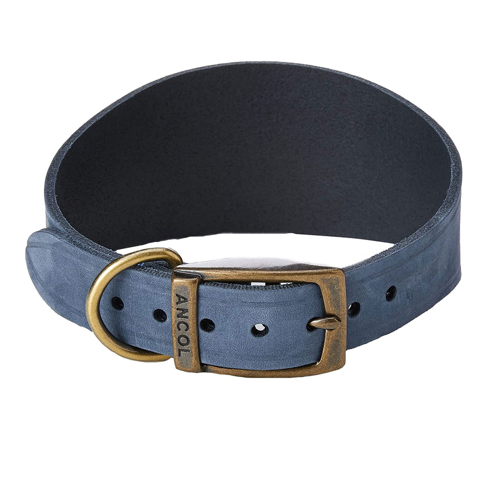 The Ancol Timberwolf Greyhound Collar in Blue#Blue