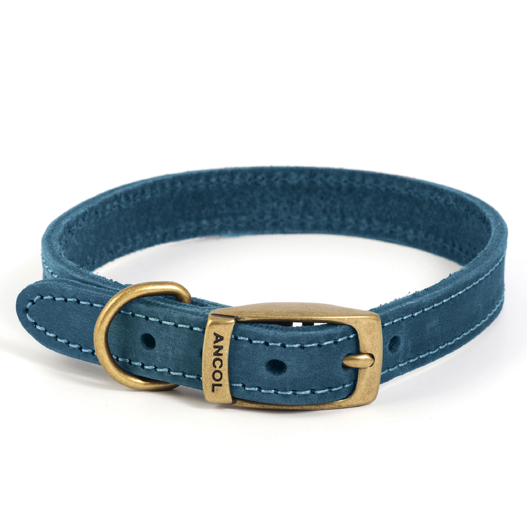 The Ancol Timberwolf Dog Collar in Blue#Blue
