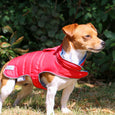 The Ancol Viva Reversible Dog Coat in Black#Black