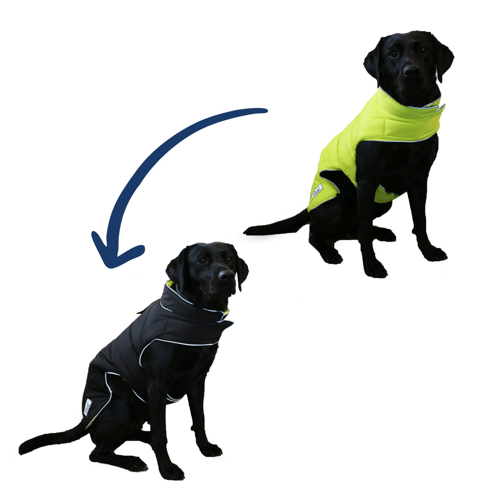 The Ancol Viva Reversible Dog Coat in Black#Black