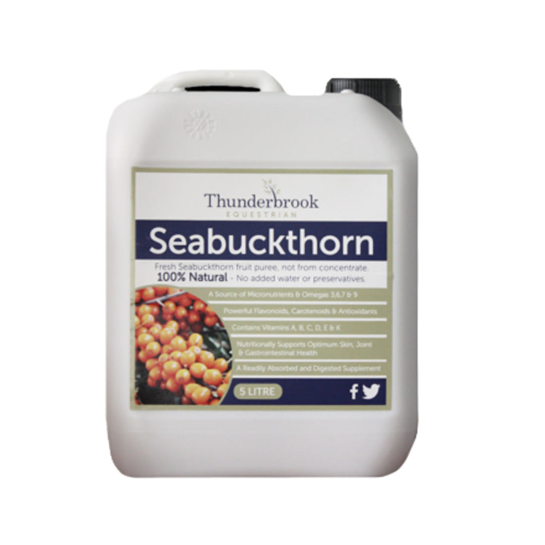 Thunderbrook Seabuckthorn