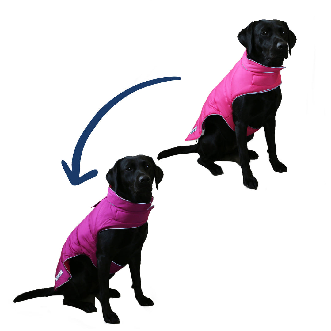 The Ancol Viva Reversible Dog Coat in Pink#Pink