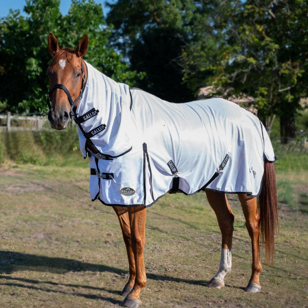 The Gallop Essentials Mesh Combo Fly Rug in White#White