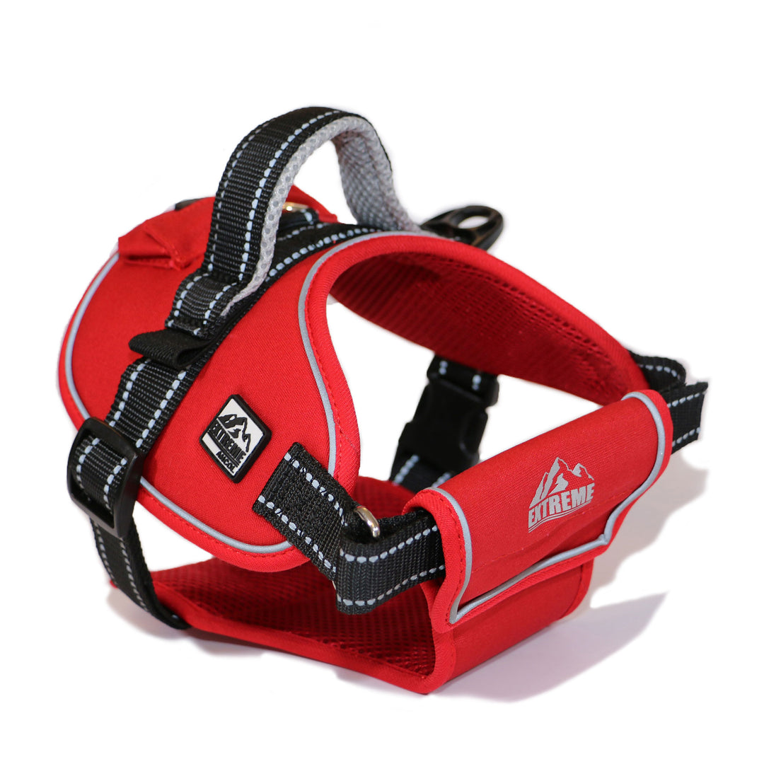 The Ancol Extreme Dog Harness in Red#Red