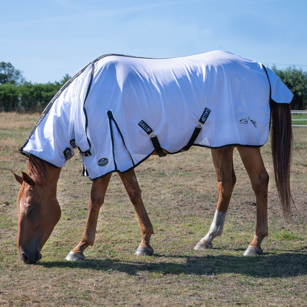 Gallop Essentials Mesh Combo Fly Rug