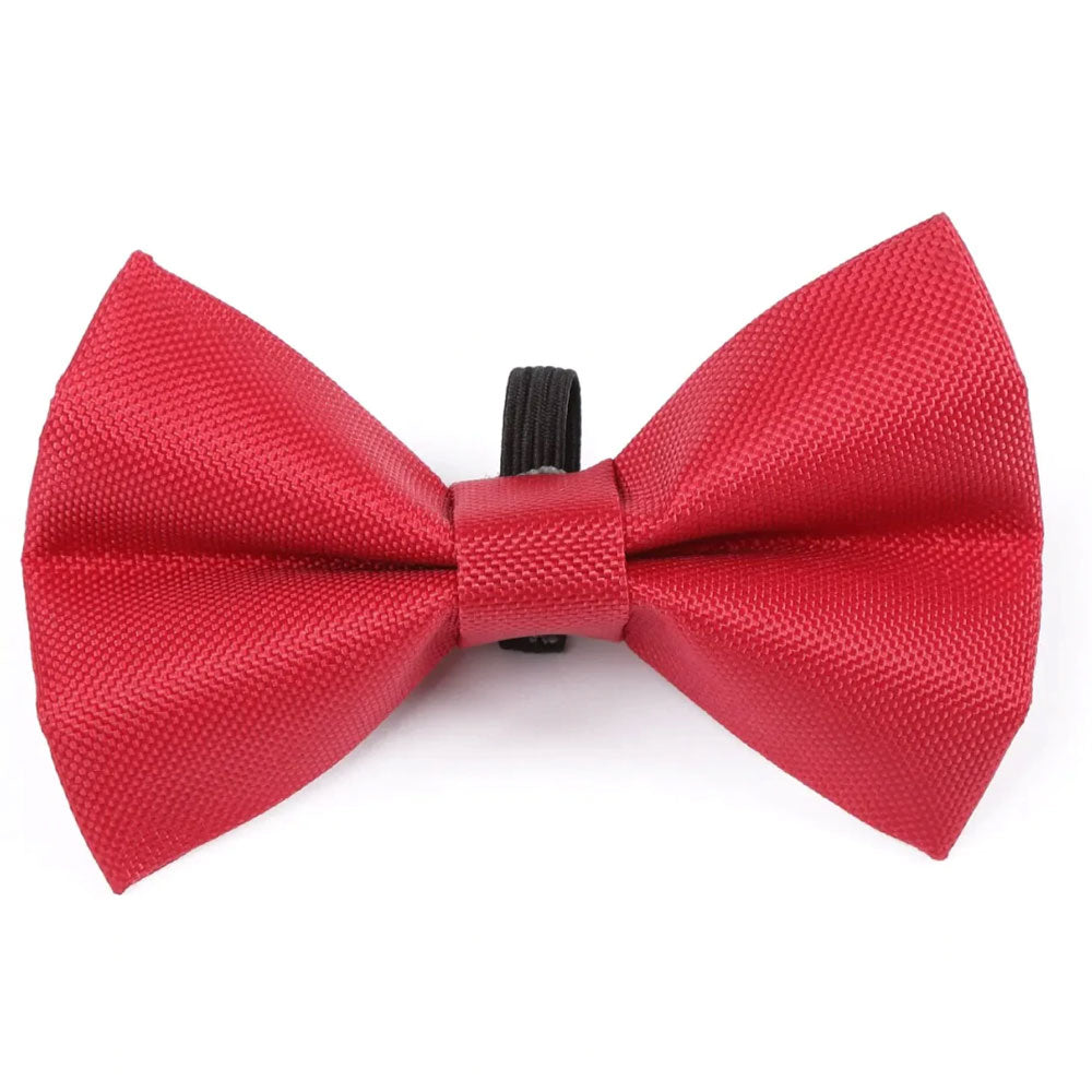 The Digby & Fox Bow Tie in Red#Red