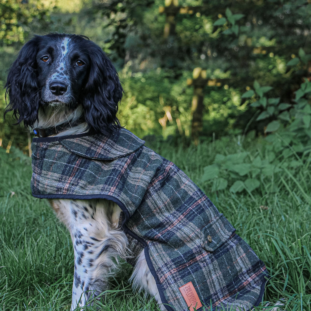 The Ancol Heritage Collection Check Dog Coat in Brown Check#Brown Check