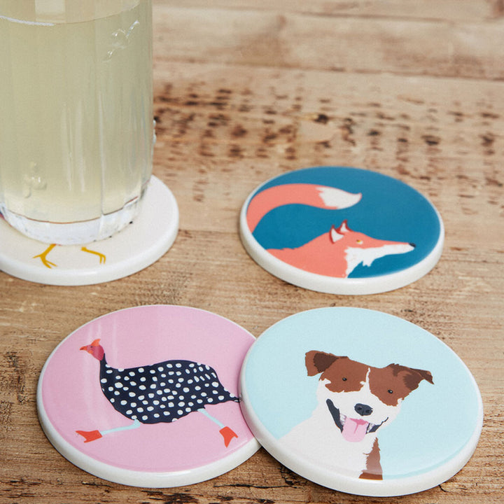 Joules Set of Four Coasters