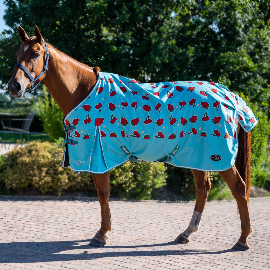 The Gallop Berry Print 0g Standard No Fill Turnout Rug in Blue#Blue