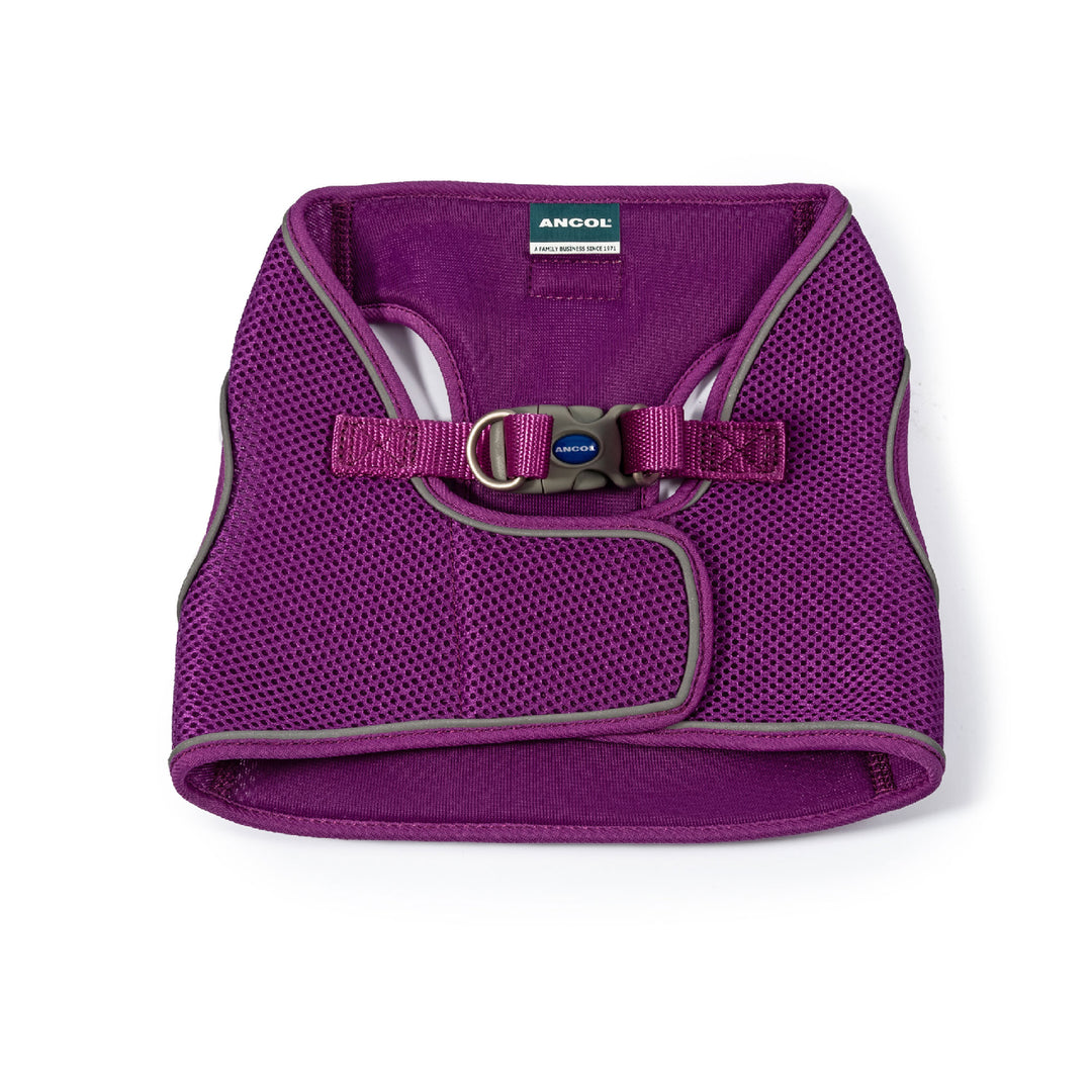The Ancol Viva Step In Dog Harness in Purple#Purple
