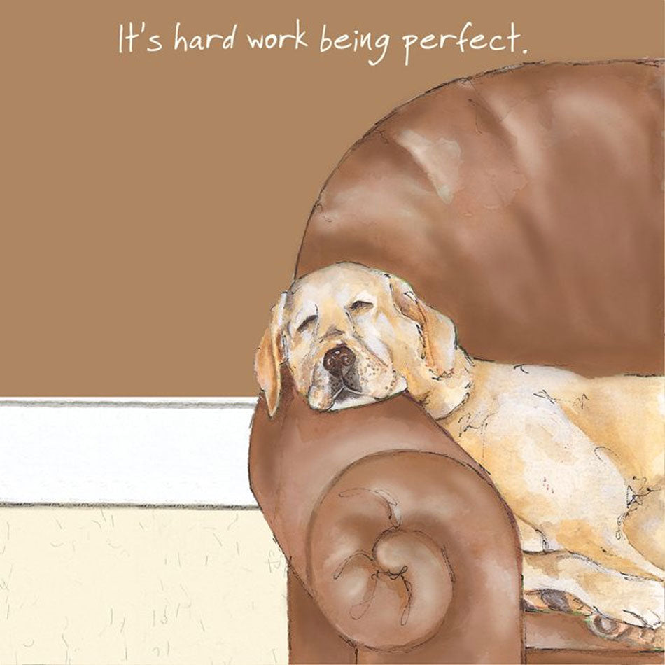 The Little Dog Laughed 'Perfect' Digs & Manor Card