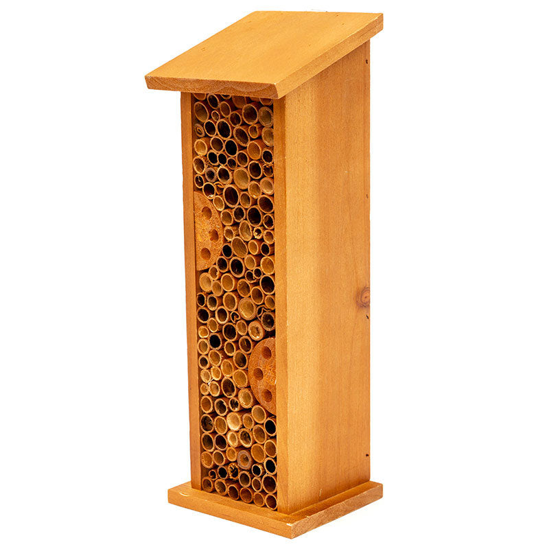 The Henry Bell Bee House in Brown#Brown