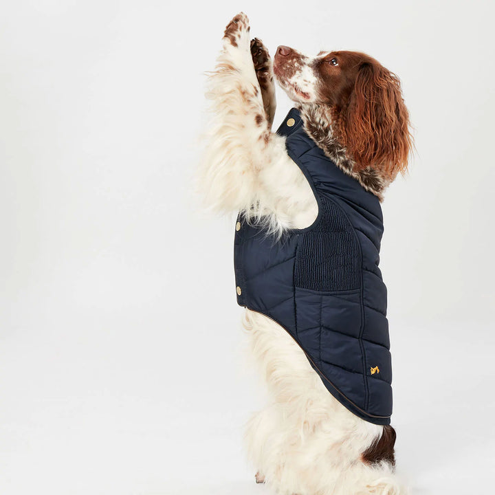 Joules Cherrington Dog Coat