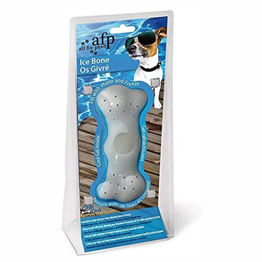 All For Paws Chill Out Ice Bone