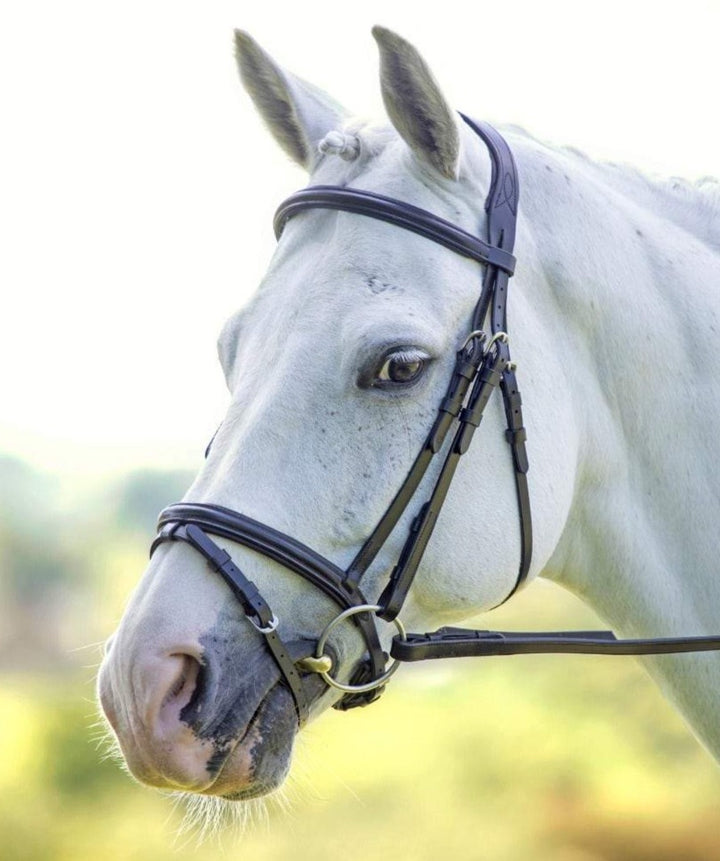 The Shires Velociti Padded Raised Flash Bridle in Brown#Brown