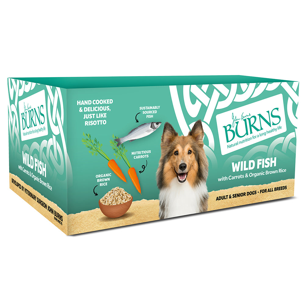 Burns Wild Fish, Vegetables & Brown Rice Wet Dog Food 12x150g