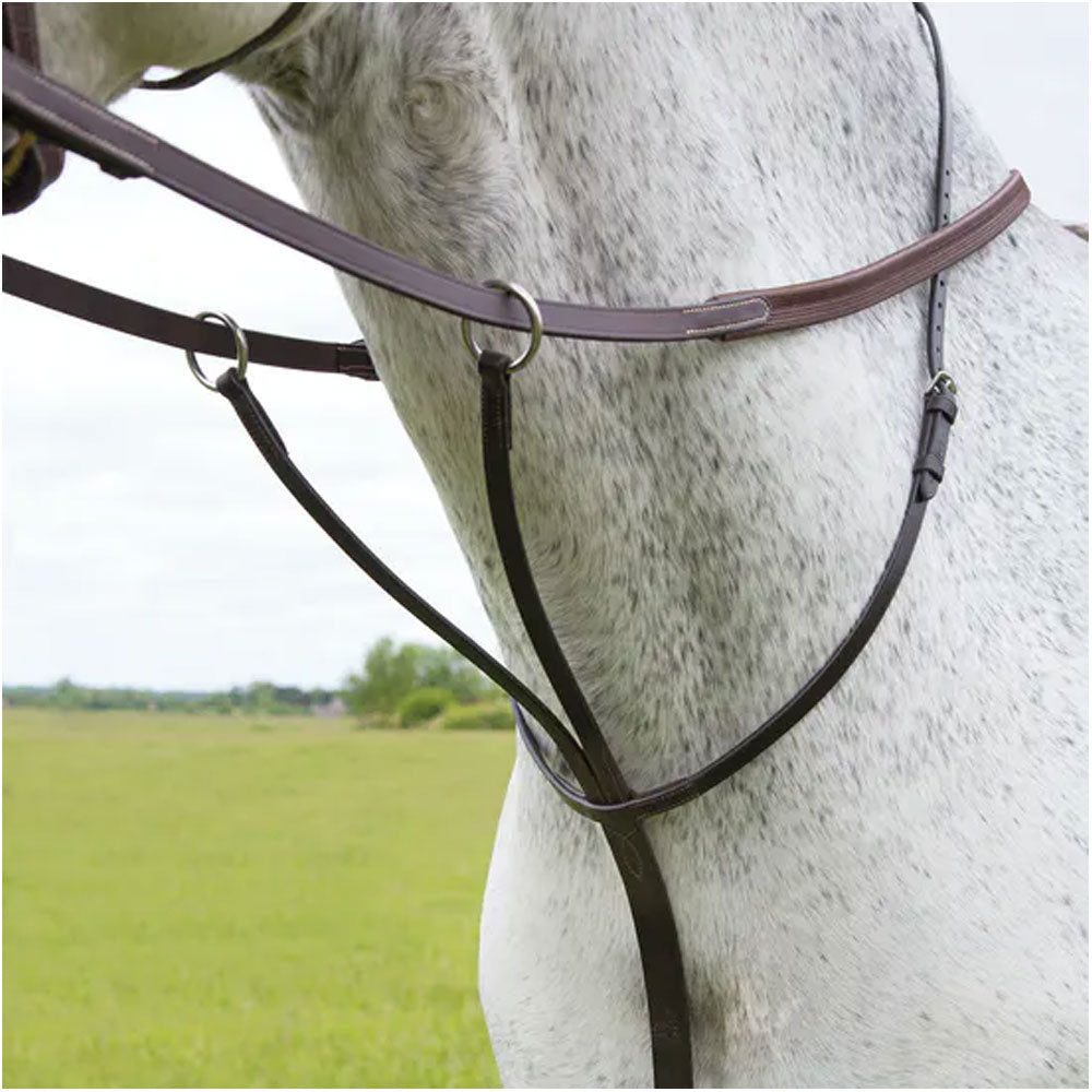 The Shires Blenheim Running Martingale in Brown#Brown