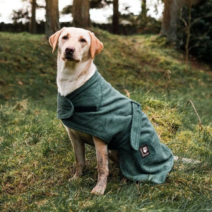 Danish Design Towelling Dog Robe