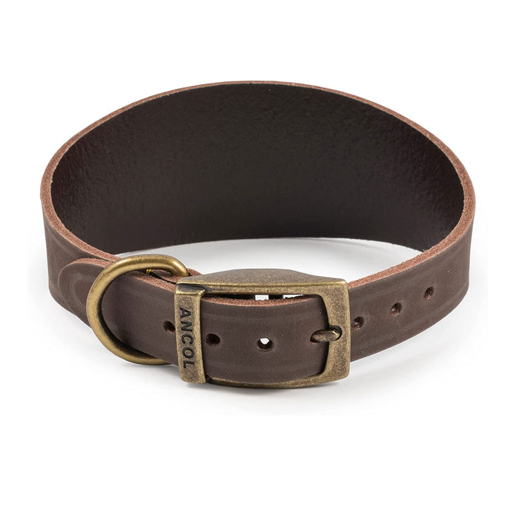 The Ancol Timberwolf Greyhound Collar in Brown#Brown