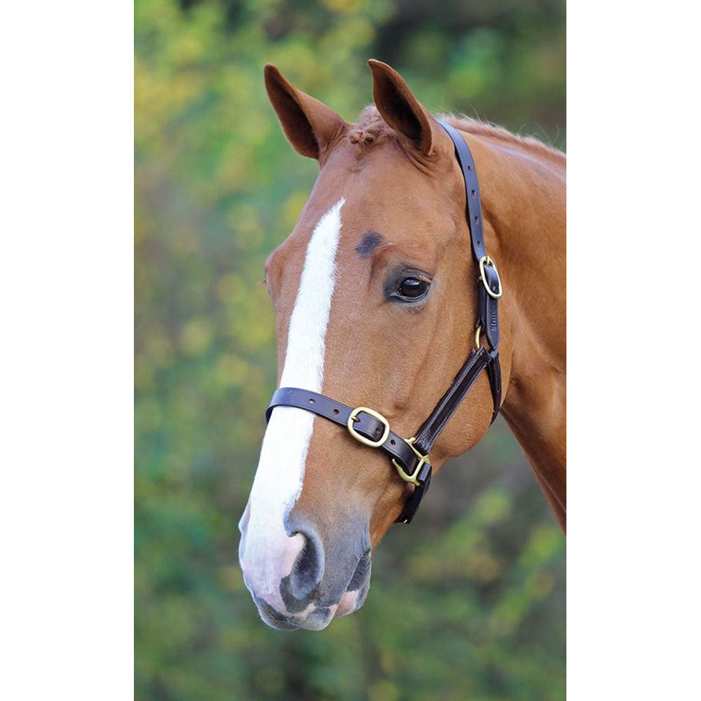 The Shires Blenheim Fully Adjustable Leather Headcollar in Brown#Brown