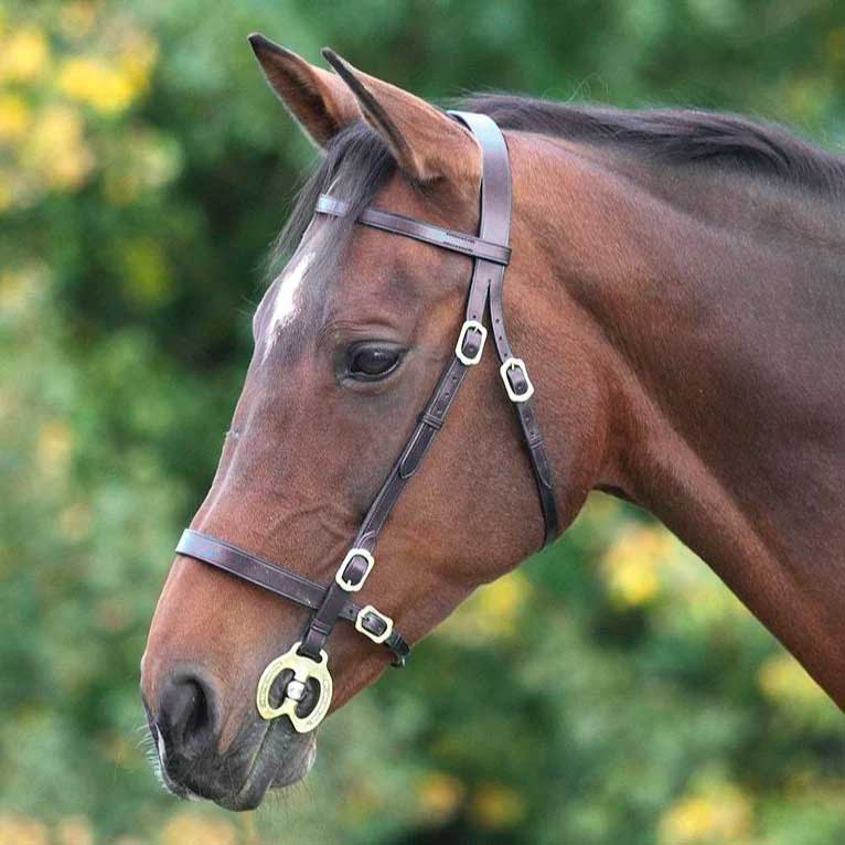 The Shires Blenheim Plain Inhand Bridle in Brown#Brown