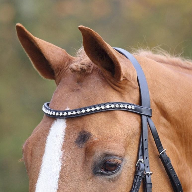 Shires Aviemore Large Diamante Browband