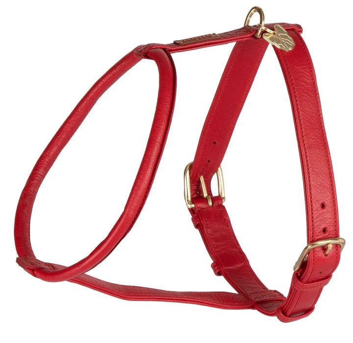 Digby & Fox Rolled Leather Dog Harness in Red#Red