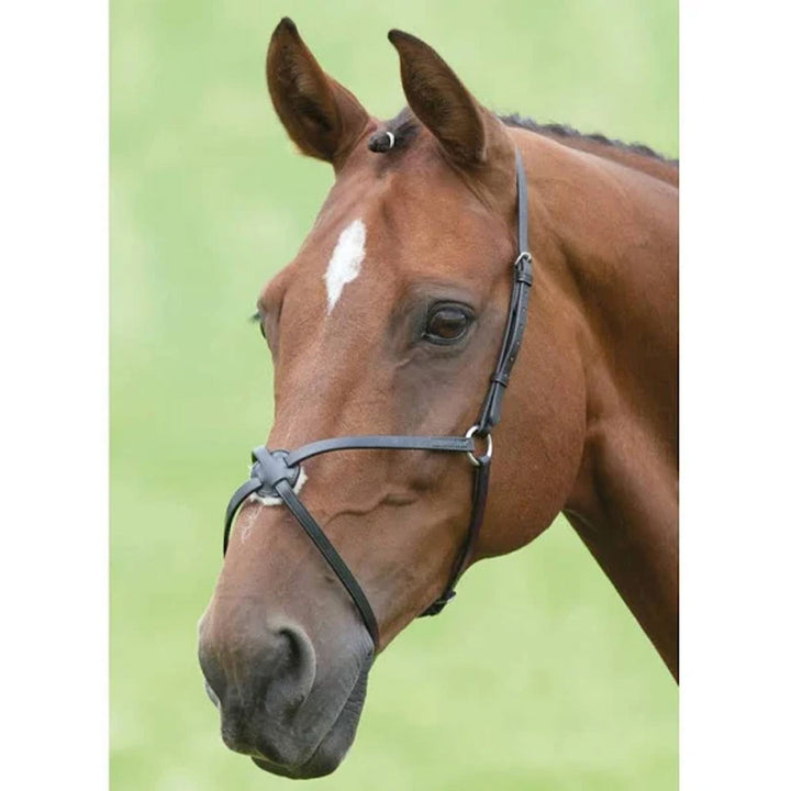 The Shires Blenheim Mexican Noseband in Black#Black