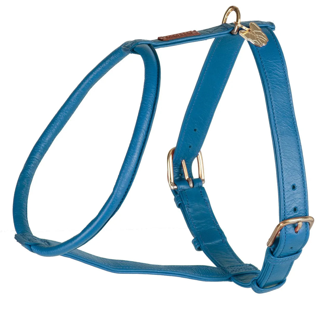 Digby & Fox Rolled Leather Dog Harness in Blue