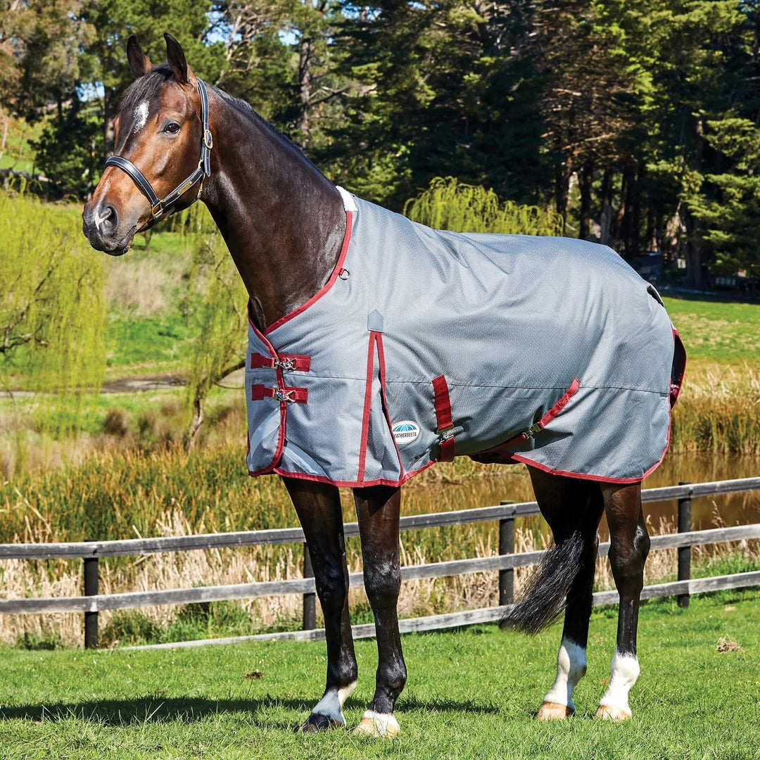 Weatherbeeta Comfitec Plus Dynamic Mediumweight Turnout Rug in Grey#Grey