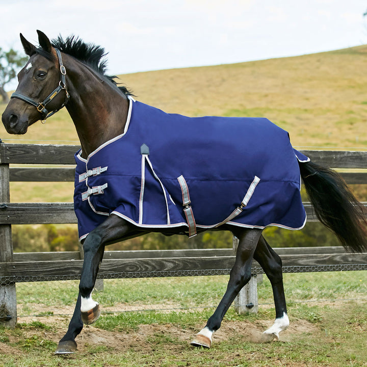 The Weatherbeeta Comfitec Essential 0g Standard Lite Turnout Rug in Navy#Navy